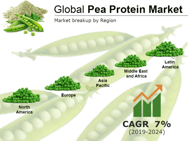 Pea Protein Market Report, Global Industry Overview, Growth, Opportunities and Forecast 2019-2024