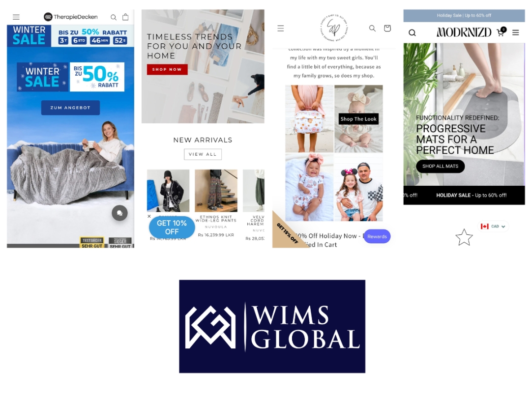 WIMS Global: Transforming Ecommerce Dreams into Reality