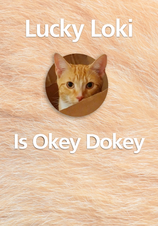 Introducing Lucky Loki: A Tale of Love and New Beginnings