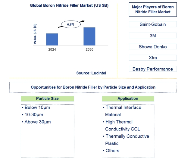 Lucintel Forecasts the Global Boron Nitride Filler Market is expected to grow with a CAGR of 6.8% from 2024 to 2030