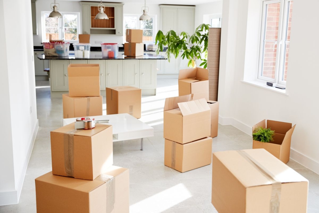 Austin Moving Company: A Trusted Choice for All The Moving Needs