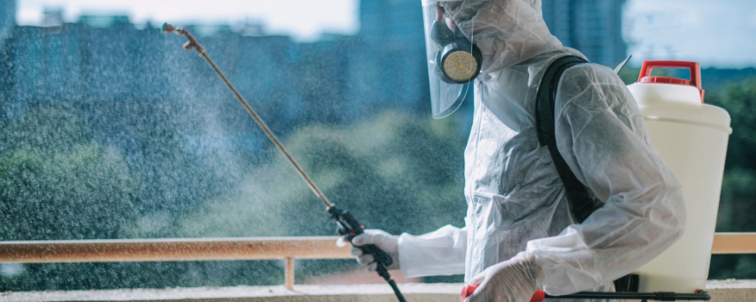 The Secret to a Pest-Free Home: Trust Hicksville’s Leading Exterminators