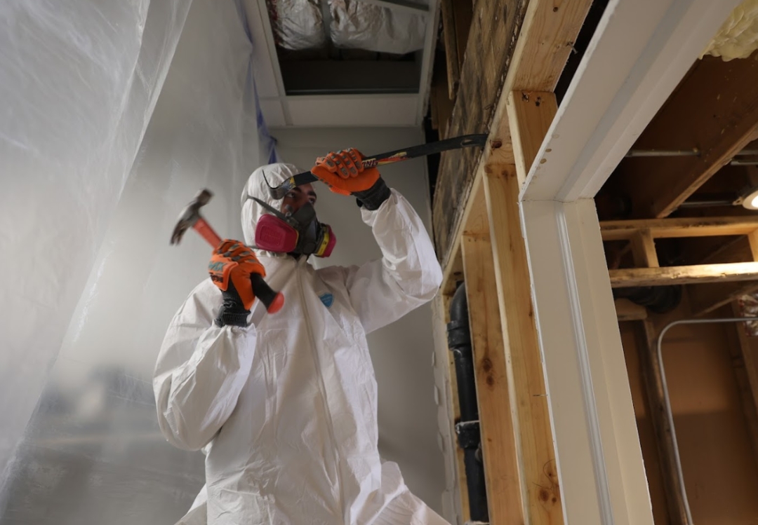 Redefined Restoration: Expert Mold Removal and Remediation Services in Chicago for a Healthier Home