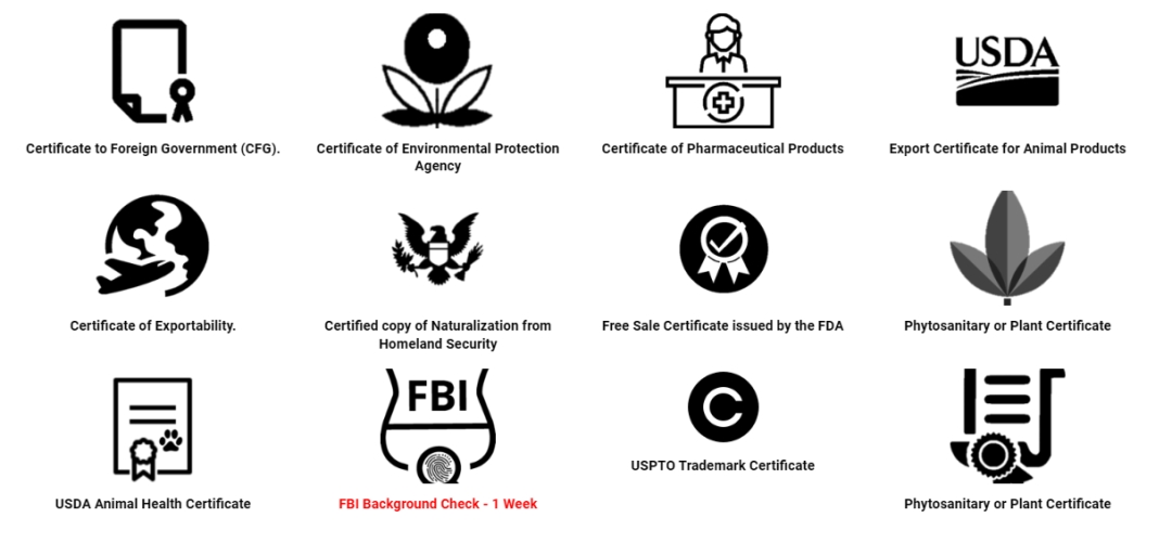 Apostille Tampa Simplifies Document Legalization for International Use