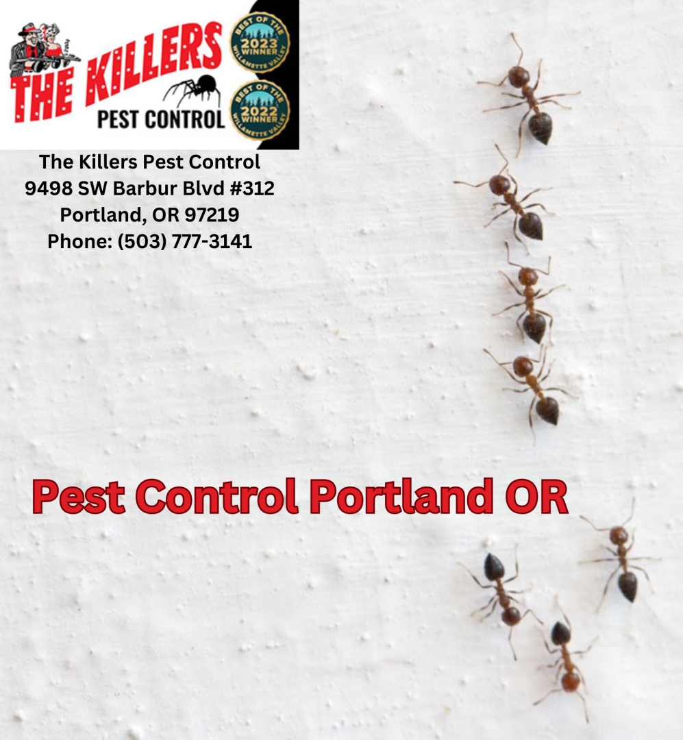 The Killers Pest Control Sets the Standard for Quality Work and Customer Service in Portland