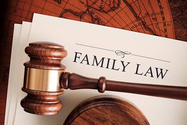 Navigating Child Custody and Legal Support: How Gordon Law, P.C. Provides Expert Child Lawyer Services in Brooklyn