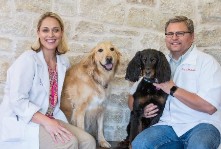 Safe and Comfortable: Why Country Creek Animal Hospital’s Dog Boarding is a Top Choice for Pet Parents 