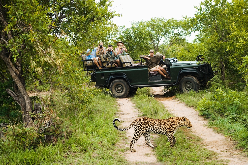 Secret Africa: The Luxury Safari Company That Is Wowing Their Clients With Their Unique Local Knowledge