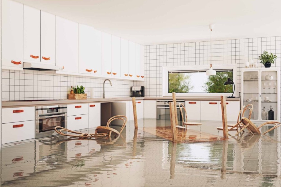 Water Damage Restoration: DIY Fixes vs. Professional Help