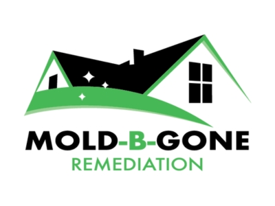 Mold-B-Gone Highlights Chance Adcock's Leadership in Transforming Mold Remediation Standards