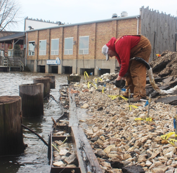 Innovative Seawall Repair and Stabilization Solutions by PLY Solutions in Silver Spring