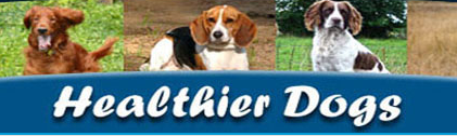 Now Know Everything about Dog Food and Dog Health Remedies at HealthierDogs.com