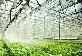 Greenhouse Irrigation System Market 2019: Global Key Players, Trends, Share, Industry Size, Segmentation, Opportunities, Forecast To 2026	