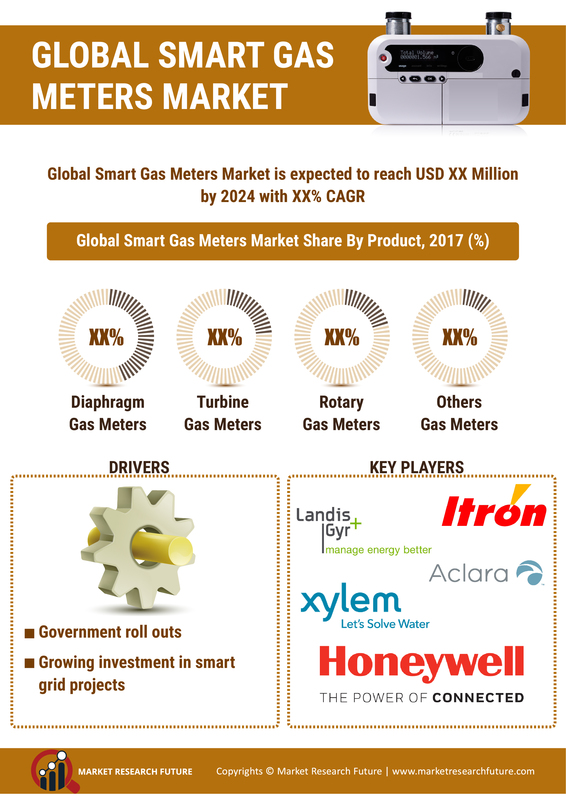 Smart Gas Meter Industry - 2019 Global Market Trends, Size, Share, Growth, Statistics, Opportunity, Regional Analysis With Industry Forecast To 2023