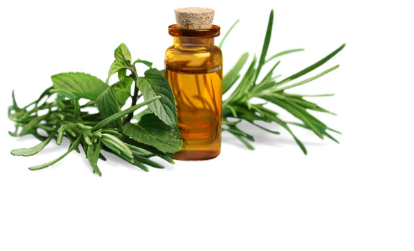 Haitian Vetiver Oil Market By Analysis And Research With UniKode, Vigon International, Texarome, Ananda, BERJE, Jedwards International, Albert Vieille SAS, Haiti Essential, Givaudan