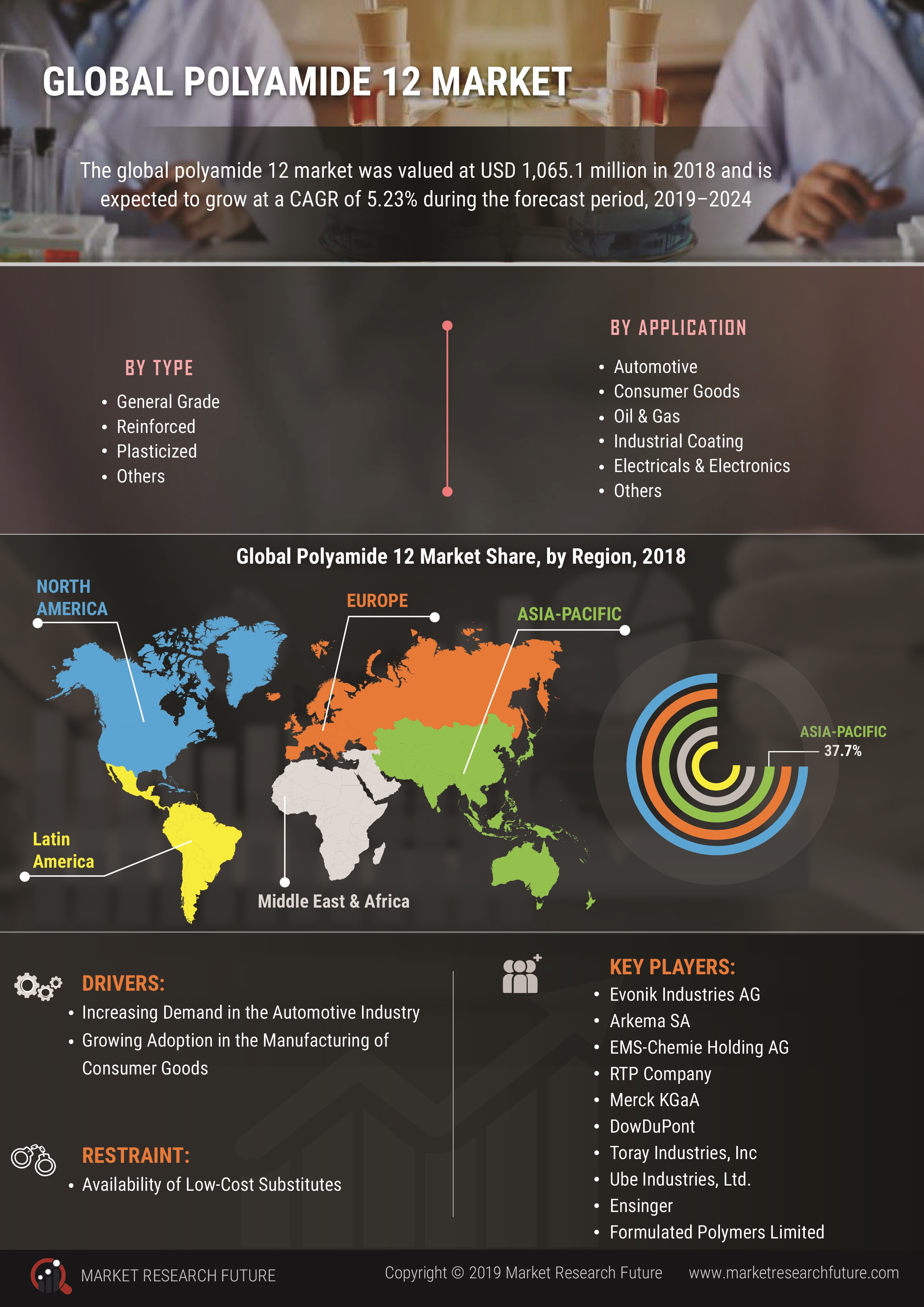 Polyamide 12 Market to Register Substantial Expansion by 2019 – 2023| Expanding Automotive Industry is Expected to Propel the Growth of the Global Polyamide 12 Market with a CAGR of 5.74% Forecast 