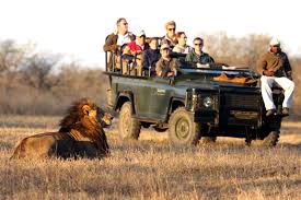 Luxury Safari Tourism Market Overview – Key Futuristic Trends and Competitive Landscape 2025 | Micato Safaris, Singita, Great Plains