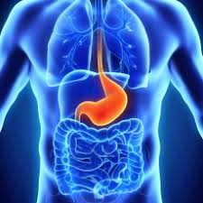 The advent of New Technologies in Medical Sector to Drive the Global Bariatric Surgery Market