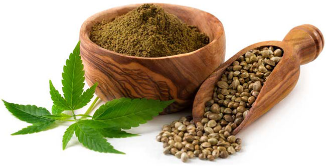 Latest Research Report On Global Hemp Protein Market – The Morning ...