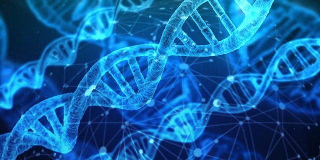 Digital Genome Market 2019 Emerging Technologies, Global Trends, Competitive Landscape, Regional Study, Size and Profit Growth by Forecast to 2027