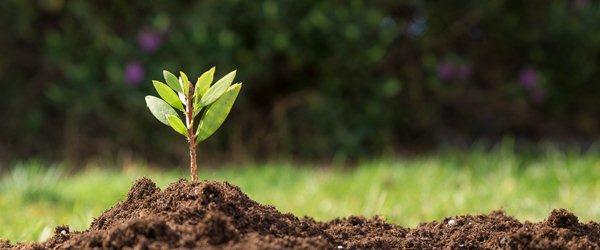 Soil Sampling Service Market Global Market Projection By Strategies, Opportunity, Demand, Revenue Analysis And Forecast To 2025