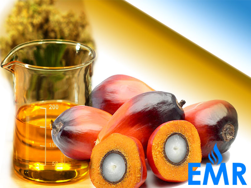 Global Palm Oil Market Reached a Consumption Volume Of 80 Million Tons In 2018 And Is Expected To Reach 112 Million Tons By 2024.