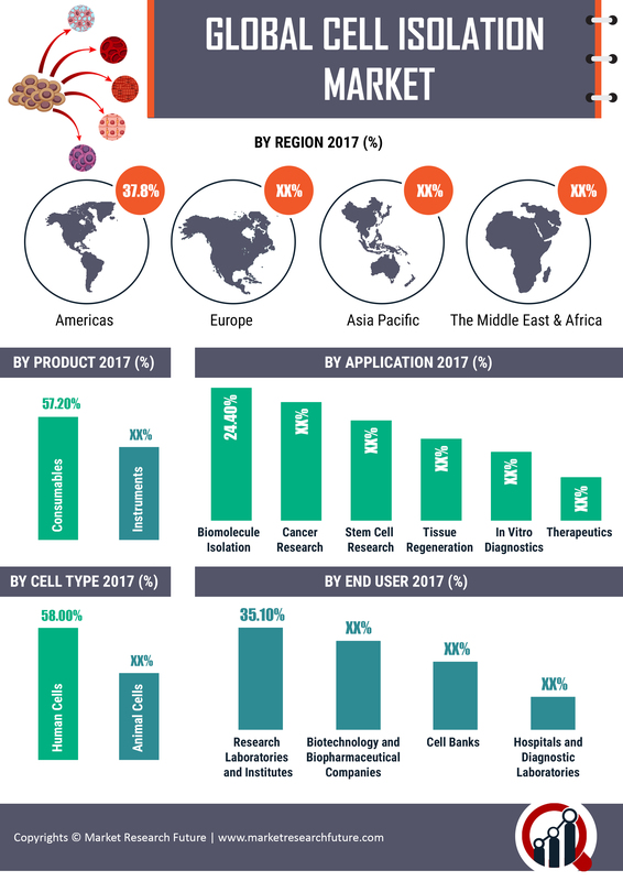 Cell Isolation Market 2019 Recent Trends, Regional Analysis, Size, Share and Industry Growth by Forecast to 2023