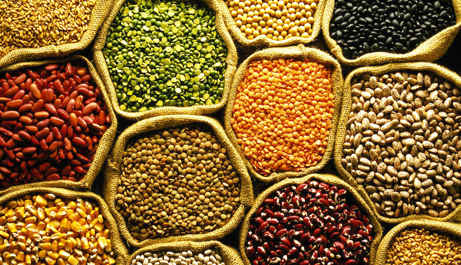 Pulses Market Analysis By Industry Size, Share, Price Trends, Revenue Growth, Development And Demand Forecast To 2024