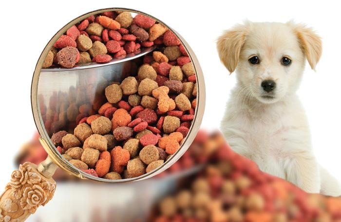 Pet Food Market Report 2020, Size, Share, Industry Growth, Research, Trends, Price Analysis, Maarket Outlook and Forecast