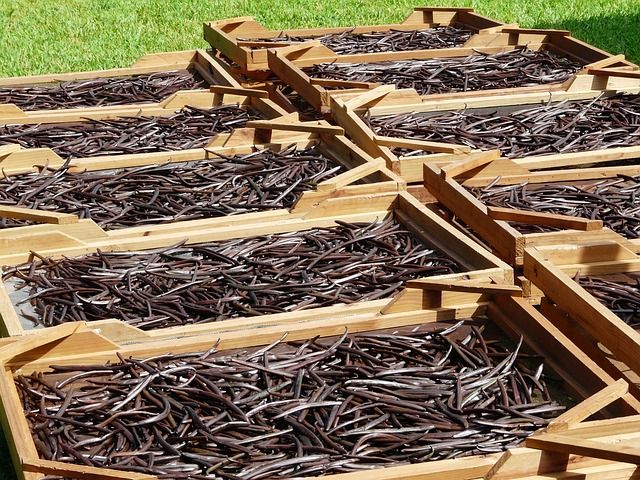 Vanilla and Vanillin Market 2019-2024: Industry Analysis, Size, Share, COVID-19 Impact, Demand, Growth, And Future Scope