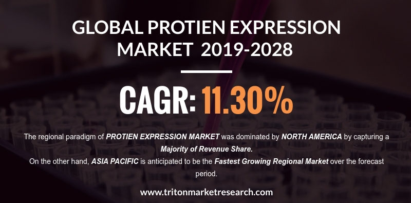 Growing R&D Activities to Push the Global Protein Expression Market to Garner $2491.67 Million by 2028