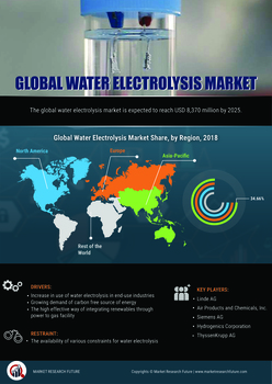 Water Electrolysis Market 2020 Statistics Data, Leading Manufacturers, Growth Factors, Competitive Landscape, Demand and Business Boosting Strategies till 2025