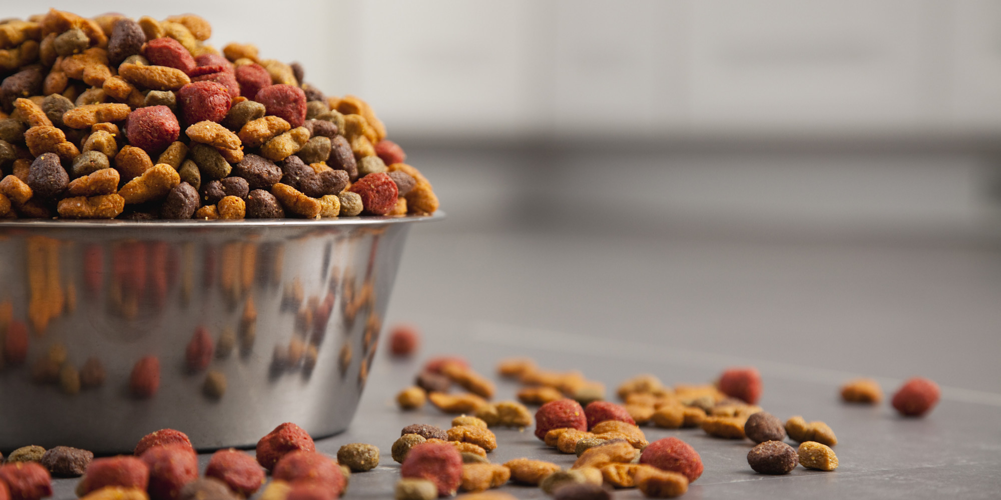 Pet Food Market Report 2020: Size, Share, Industry Trends, Statistics and Forecast till 2025 | IMARC Group