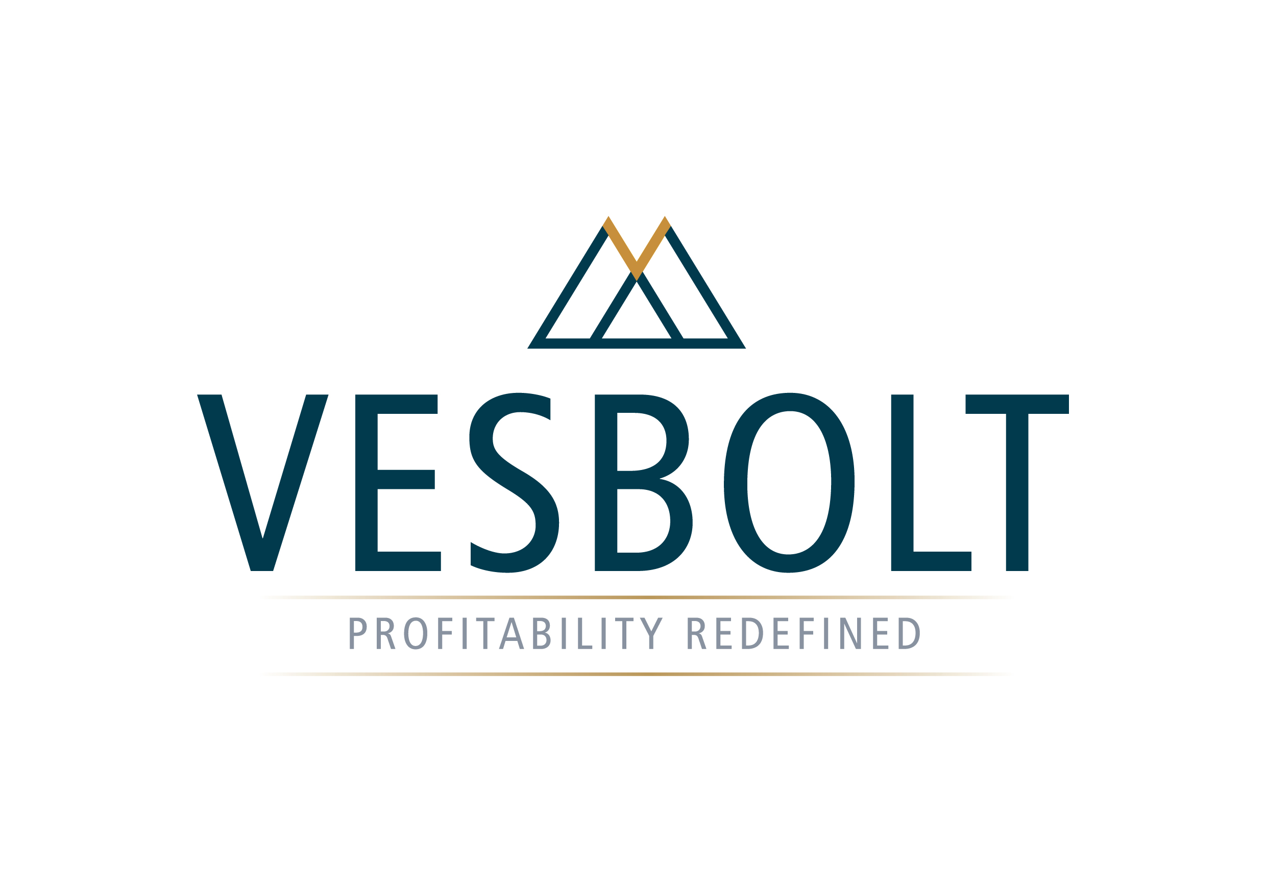 Asset and Portfolio Management Service VESBOLT Carves a Unique Identity with Focus on Profits and Growth 