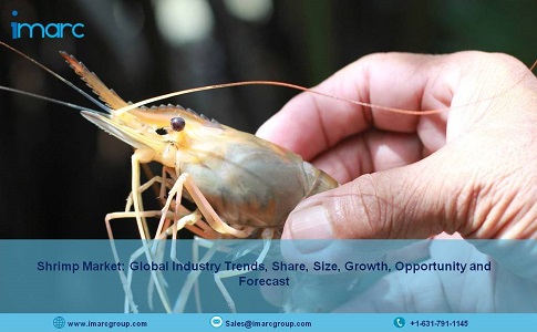 Shrimp Market Price 2021-2026: Size, Share, Industry Trends, Growth, Key Players Analysis, Forecast and Research Report - IMARC Group