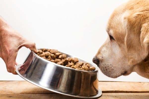 Dog Food Market Size, Growth, Scope, Structure, Opportunity and Forecast 2021-2026