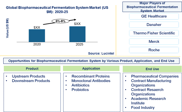 Biopharmaceutical Fermentation System Market is expected to grow at a CAGR of 6%-8% - An exclusive market research report by Lucintel
