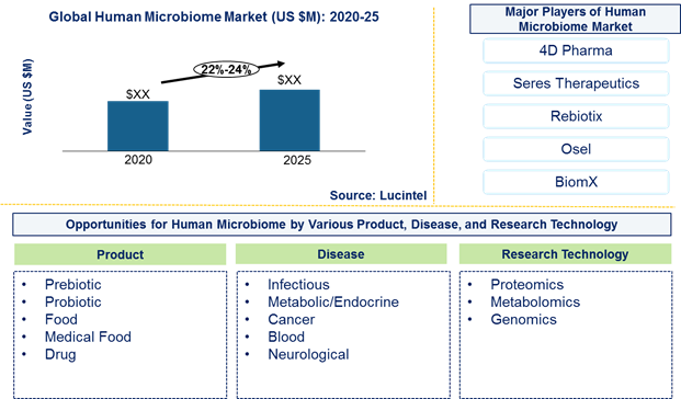 Human microbiome market is expected to grow at a CAGR of 22%-24% by 2026- An exclusive market research report by Lucintel