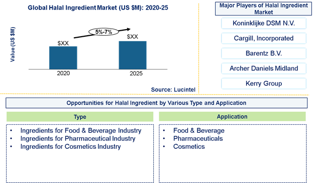 Halal Ingredient Market is expected to grow at a CAGR of 5%-7% from 2020 to 2025 - An exclusive market research report by Lucintel