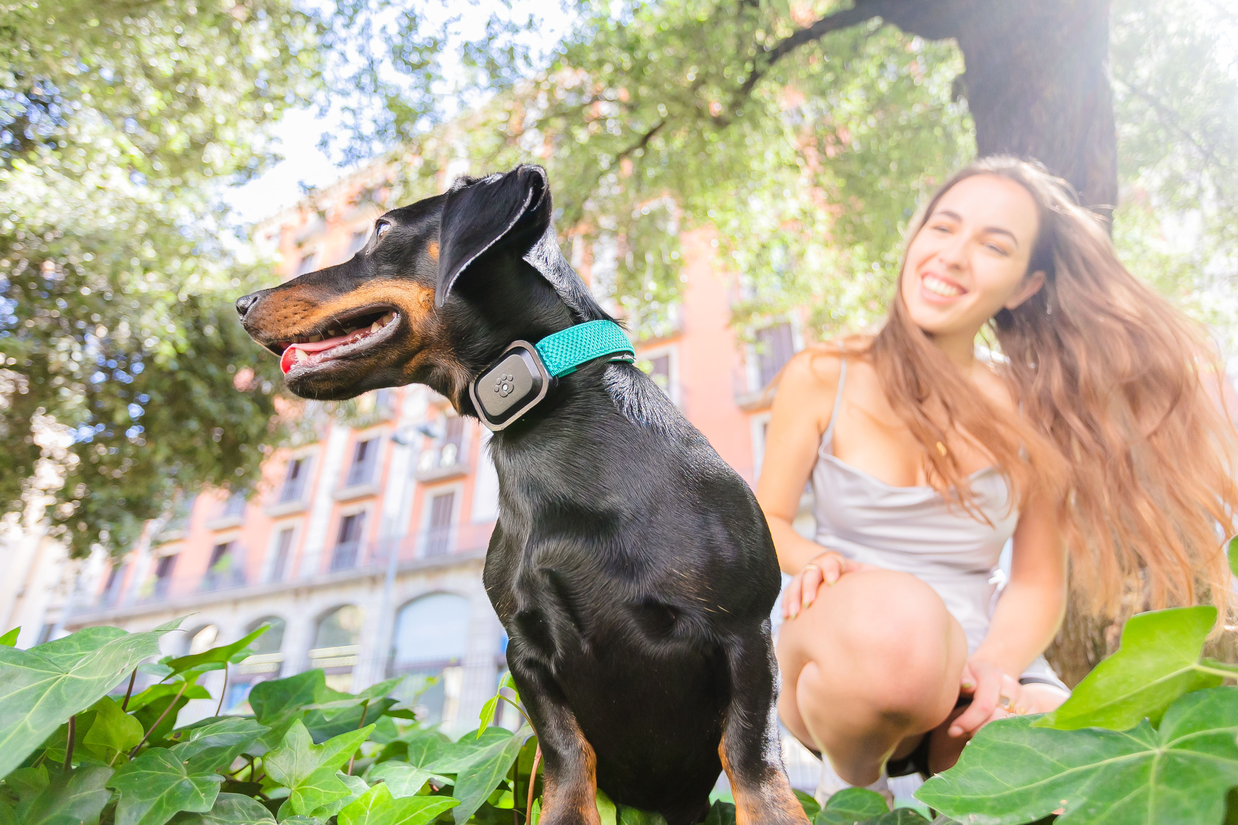 Is this the FitBit for pets? MyPetGo Launches Their Pet Health & Location Monitor On Indiegogo