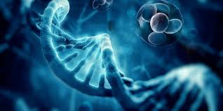 Cell-Based Regenerative Medicine Market 2021 High Growth Forecast due to Rising Demand and Future Trends to 2031