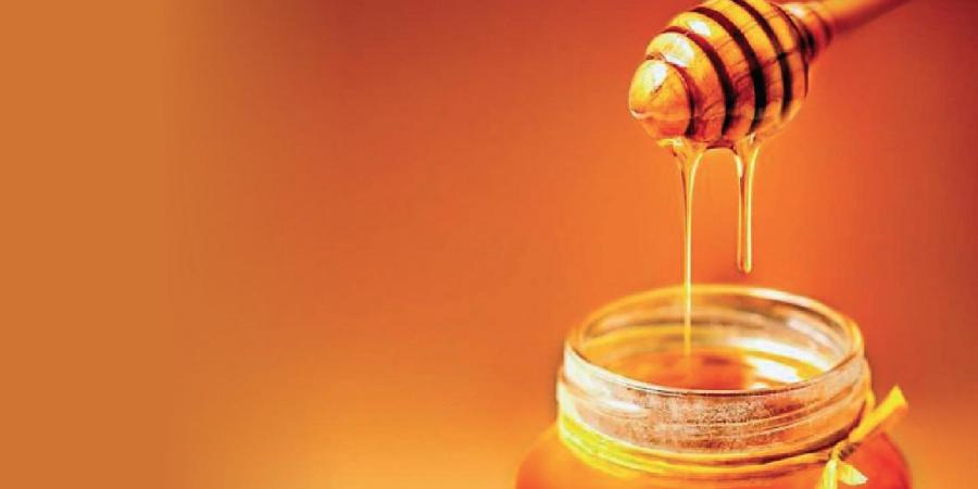Indian Honey Market Size, Share, Price Trends, Demand, Revenue, Growth and Forecast 2022-2027
