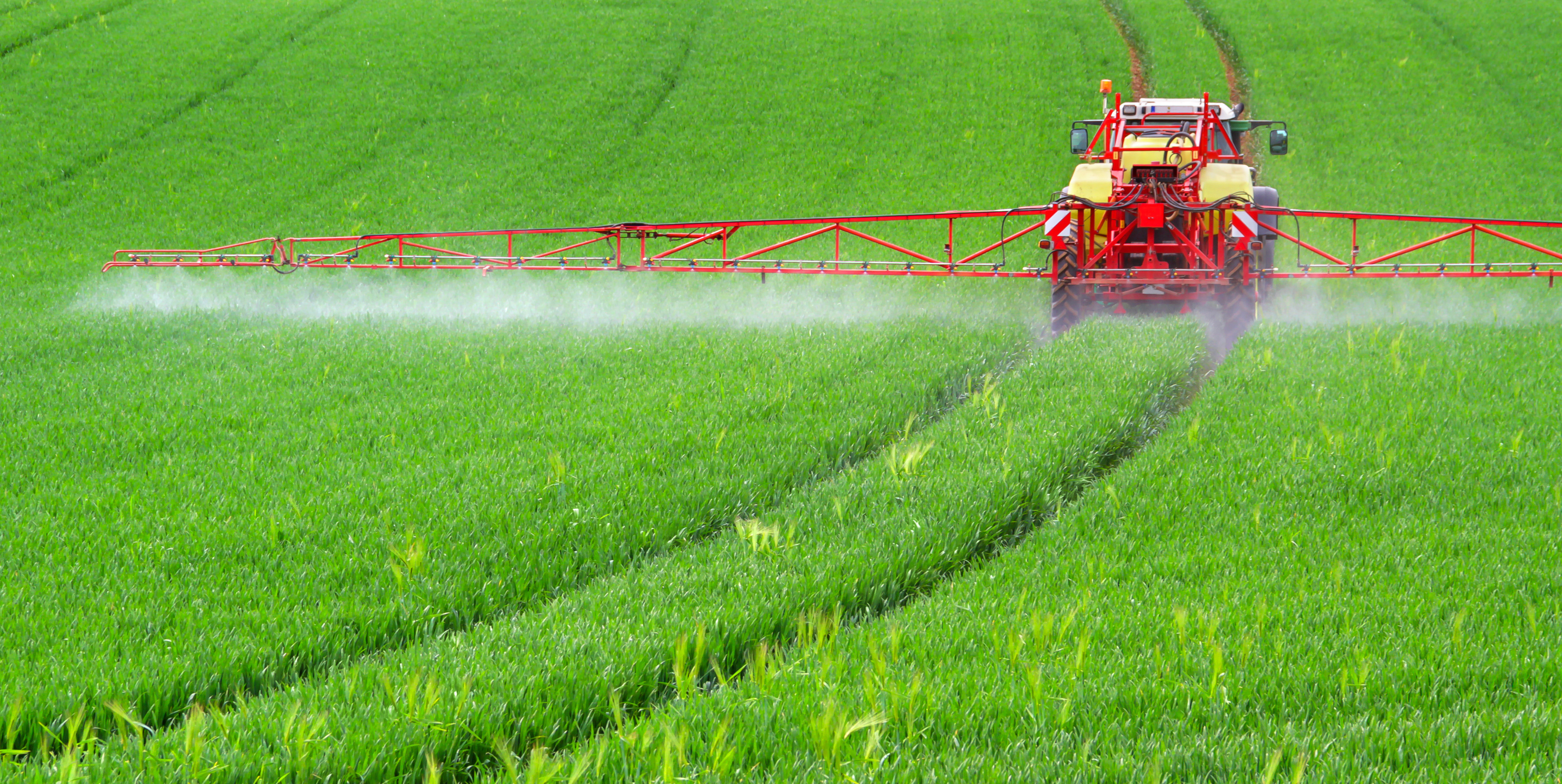 Indian Fertilizer Market 2021-2026: Size, Share, Trends, Growth, Analysis, Top Companies, and Research Report