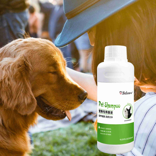 Belewe, a company focused on skin health, is committed to creating a growing environment for pets with the simplest ways.