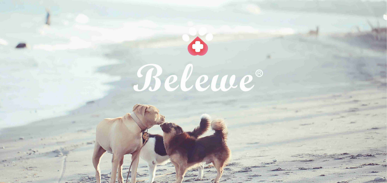 BELEWE, a company focused on skin health, is committed to creating a growing environment for pets with the simplest pets