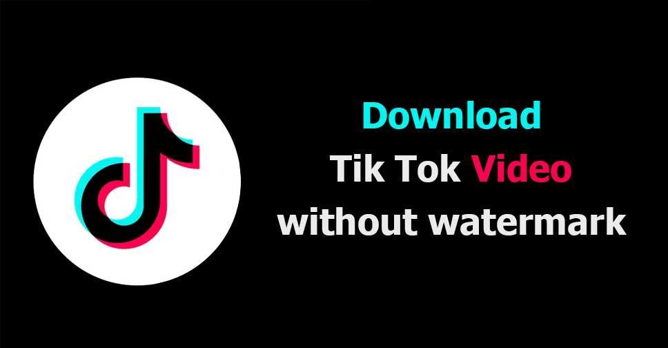 Download TikTok Videos Without Watermark Via Dtik.app
