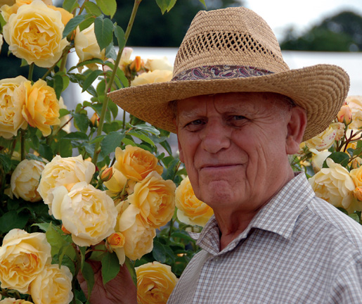 Floral Beanie New Blog Series - Rose Horticulturist (David Austin)