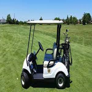 Golf Cart Market Share, Size, Growth, Opportunity and Forecast 2022-2027