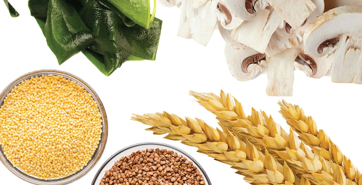 Beta Glucan Market to Reach US$ 729.9 Million, Globally, by 2028 at 7.64% CAGR