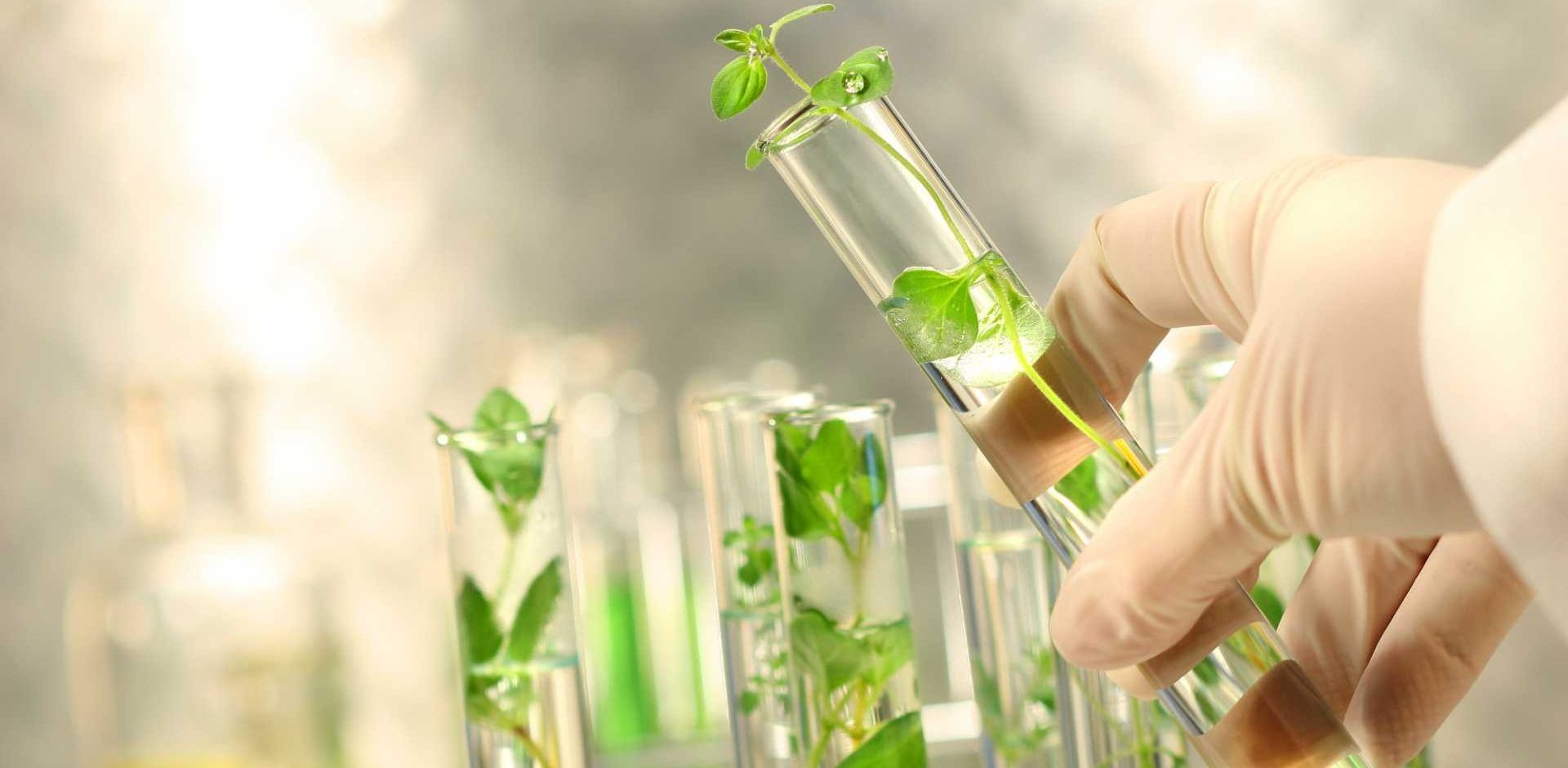 Green Chemicals Market May Set Epic Growth Story | BASF SE, Mitsubishi Chemical, Corbion